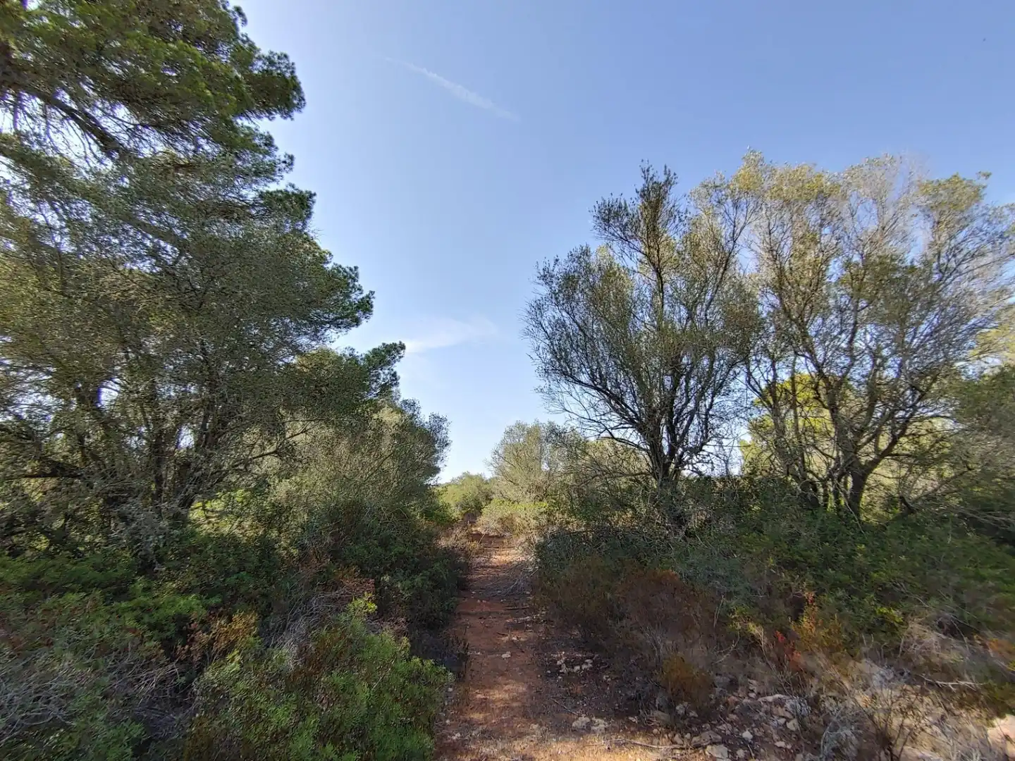Residencial en venta en Polígono Parcela 12, Cala Pi - Vallgornera