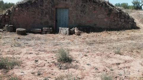 Foto 3 de Terreny en venda a L'Albagés, Lleida