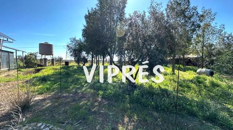 Photo 4 of Country house for sale in La Zarza (Badajoz), Badajoz