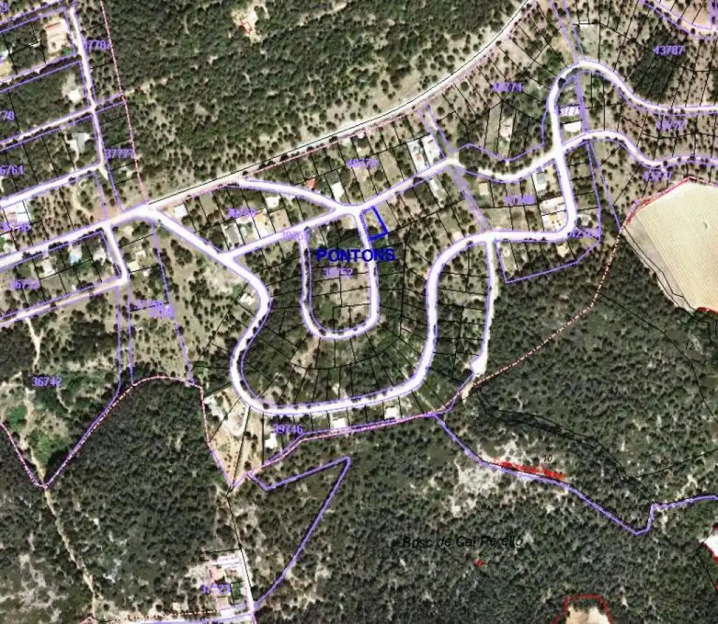 Rural land for sale in c/ catalunya, imagen 2