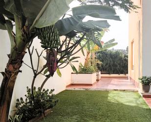 Jardí de Casa adosada en venda en Las Palmas de Gran Canaria amb Jardí privat, Terrassa i Traster
