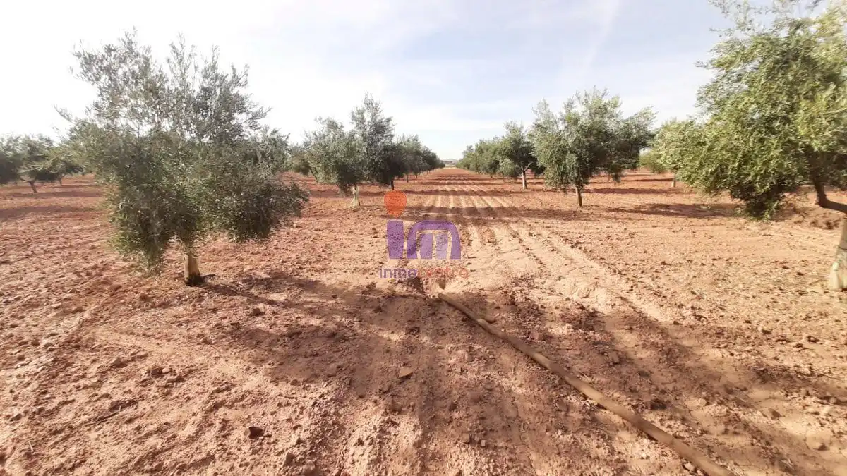 Casa rústica en venda a Valdepeñas, imagen 46