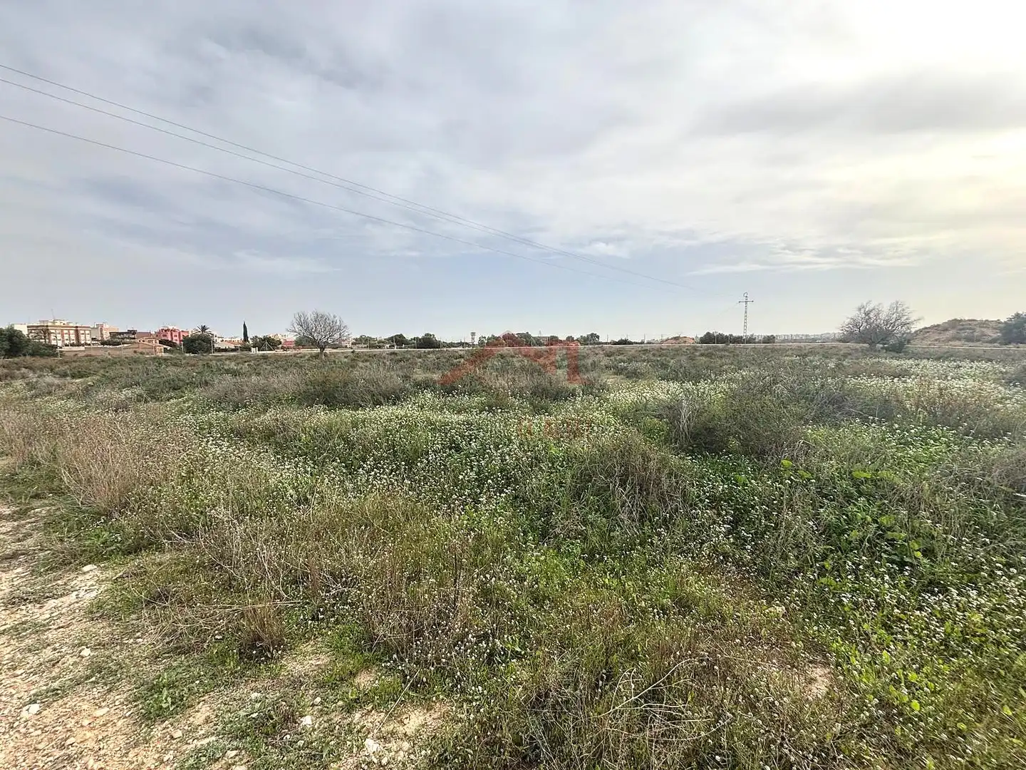 Grundstücke zur Miete in Elche / Elx