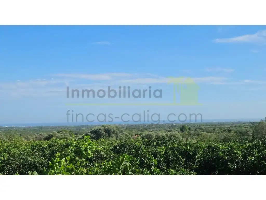 Terreny residencial en venda a Càlig