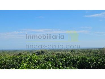 Terrain résidentiel à vendre à Càlig