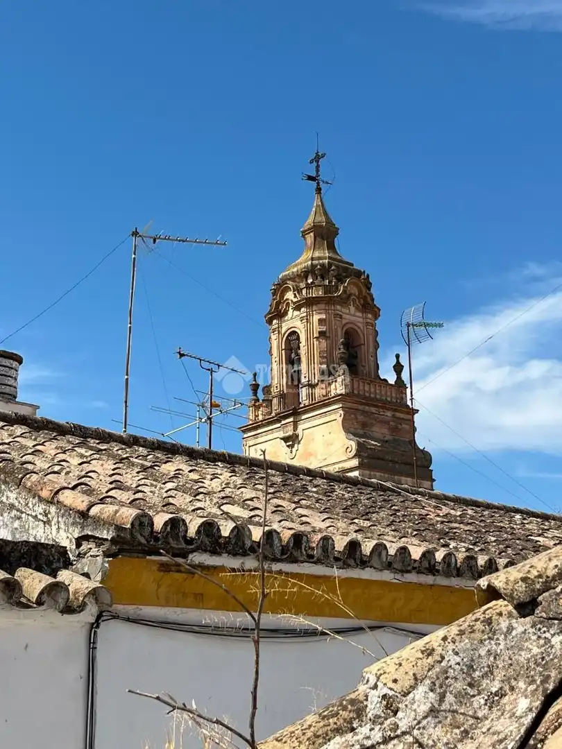 Vista exterior de Casa o xalet en venda en Carmona amb Aire condicionat, Calefacció i Moblat