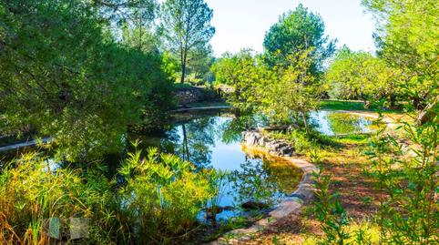 Photo 3 of Premises for sale in Calle Pedrapiquers (dels), Borriol, Castellón