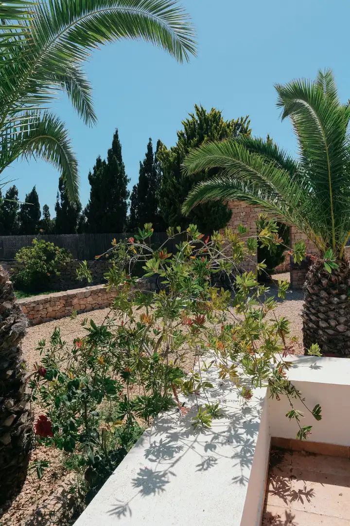 Houses for sale in Formentera