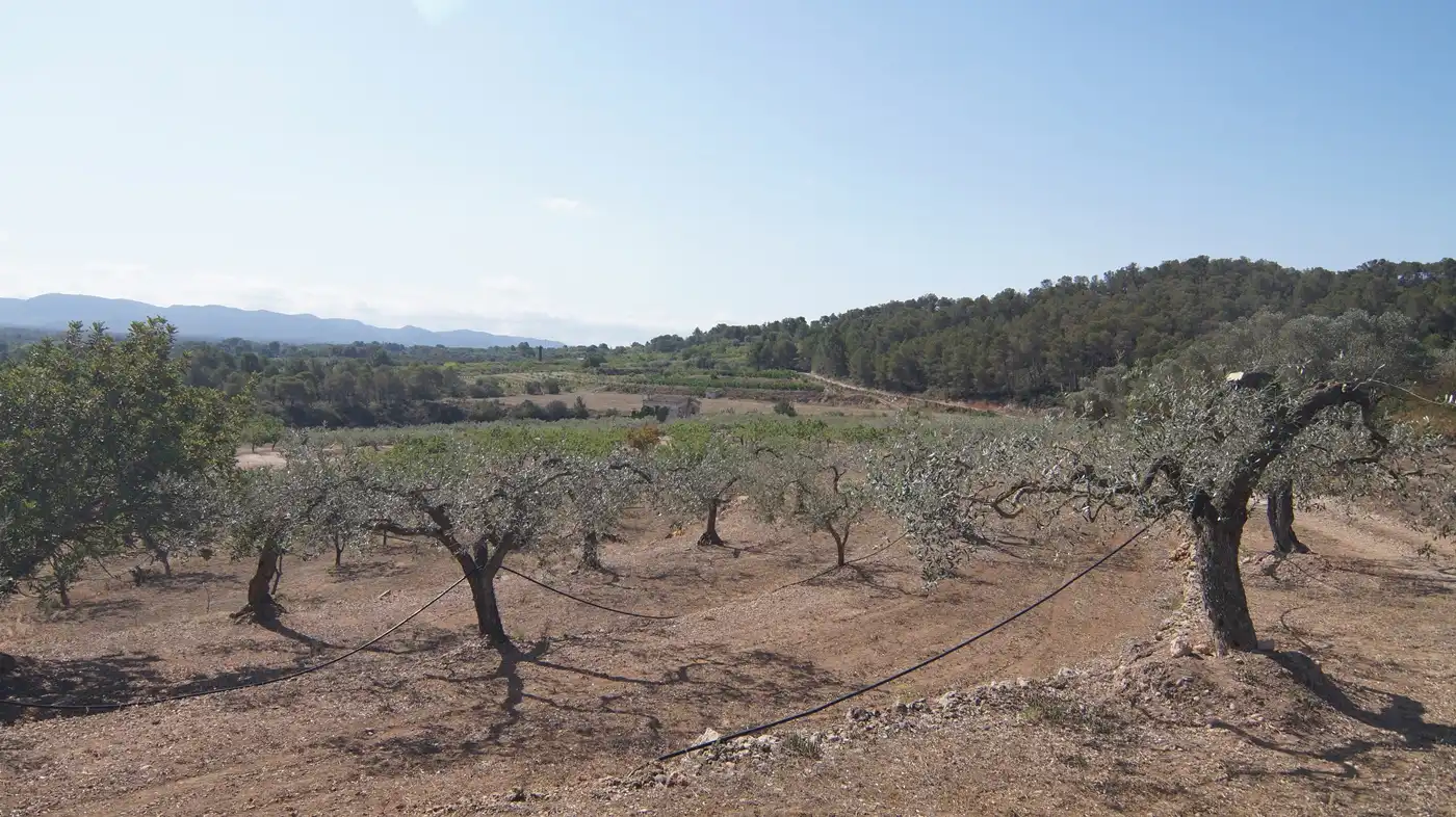 Finca rústica en venda a Miravet