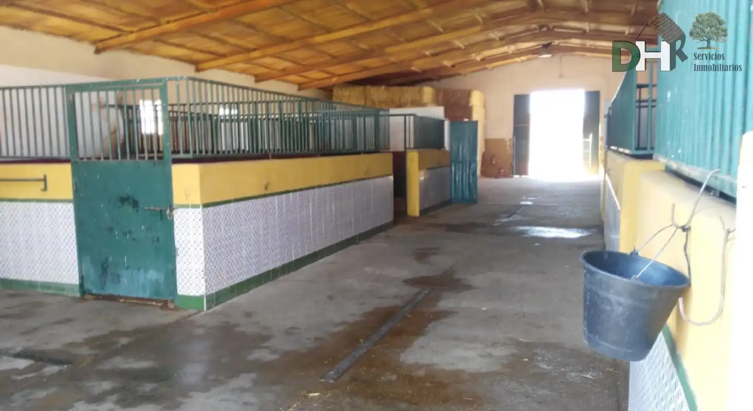 Residencial en venta en Cerro de Reyes