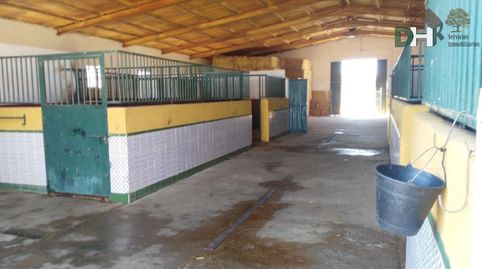 Foto 4 de Residencial en venta en Cerro de Reyes, Badajoz Capital
