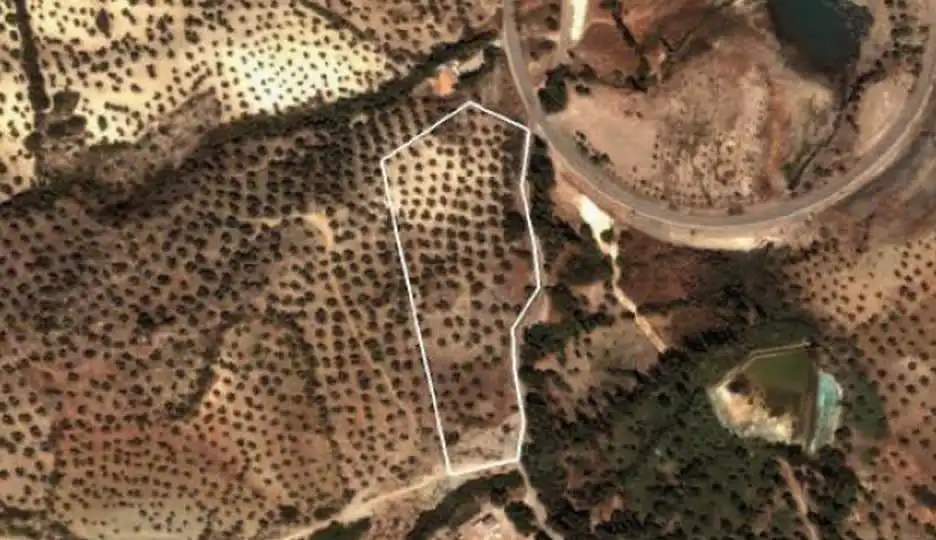 Terreny rústic en venda a Zahara, imagen 4