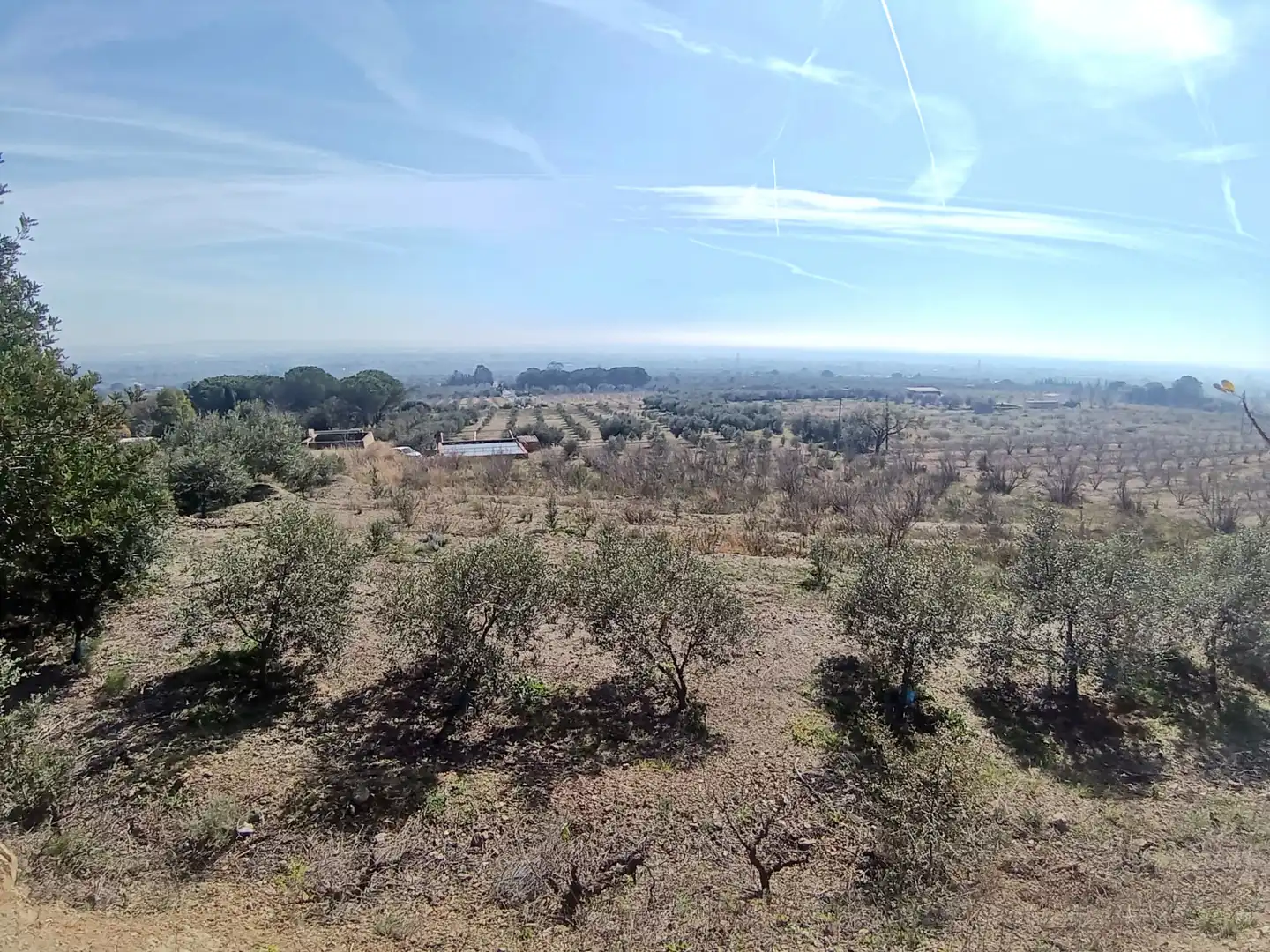 Terrain rustique à vendre à La Selva del Camp, imagen 21