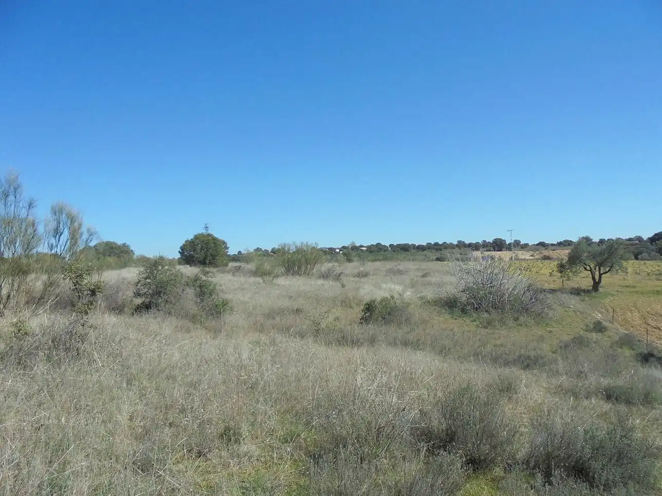 Residencial en venta en Hormigos