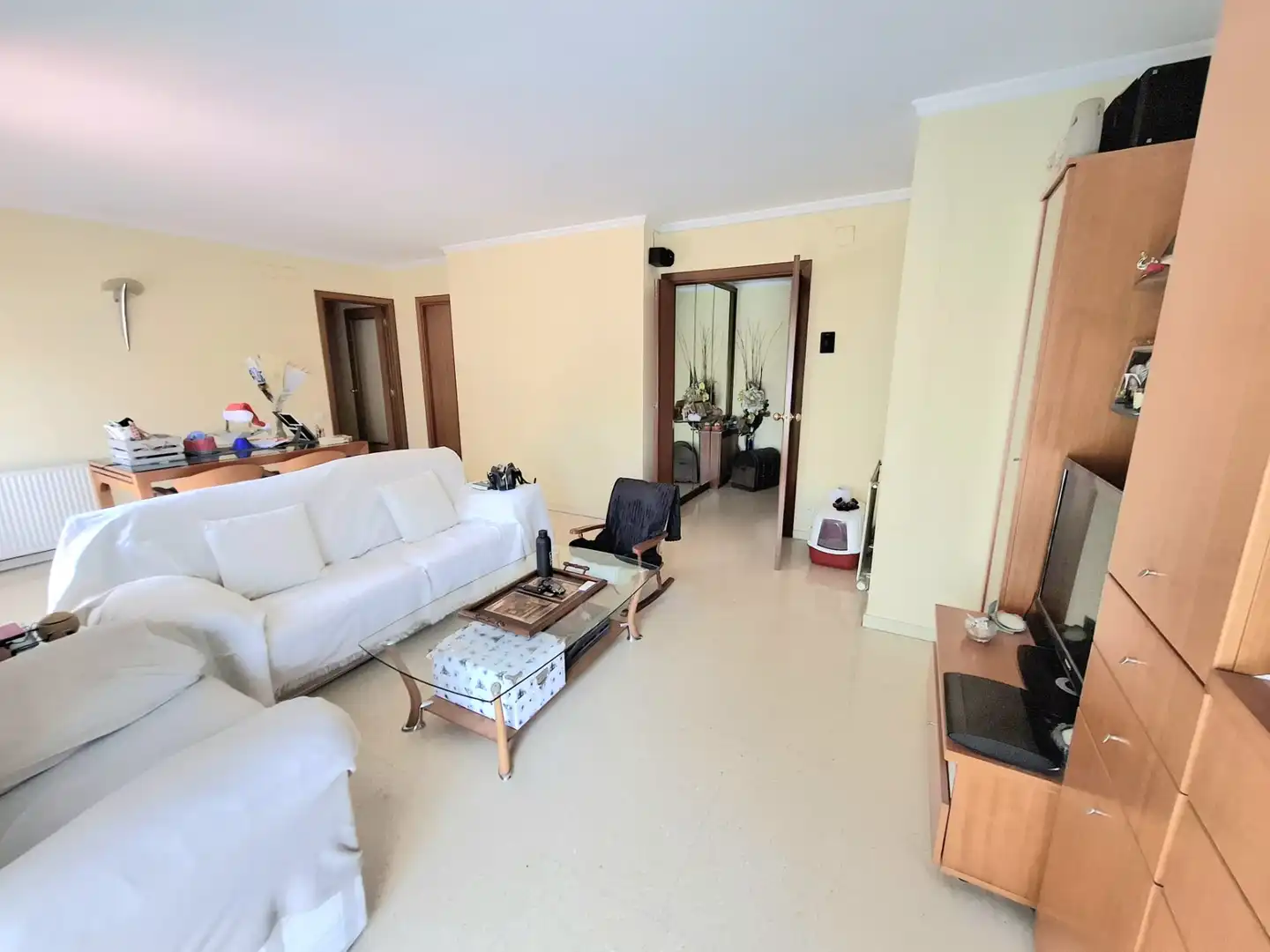 Living room of Flat for sale in Cerdanyola del Vallès  with Heating, Oven and Balcony