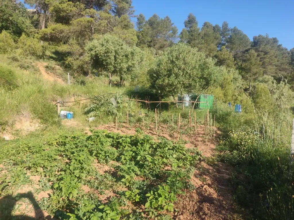 Rural land for sale in Horta de Sant Joan, imagen 3