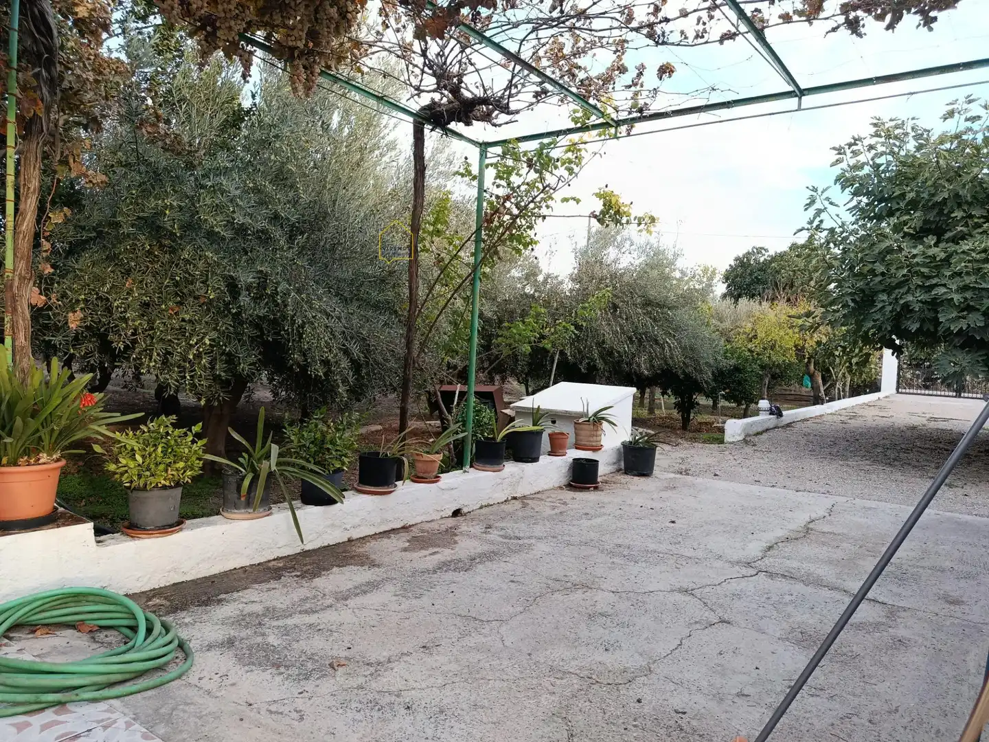 Chalet con jardín en venta en Lorca Ciudad, imagen 16