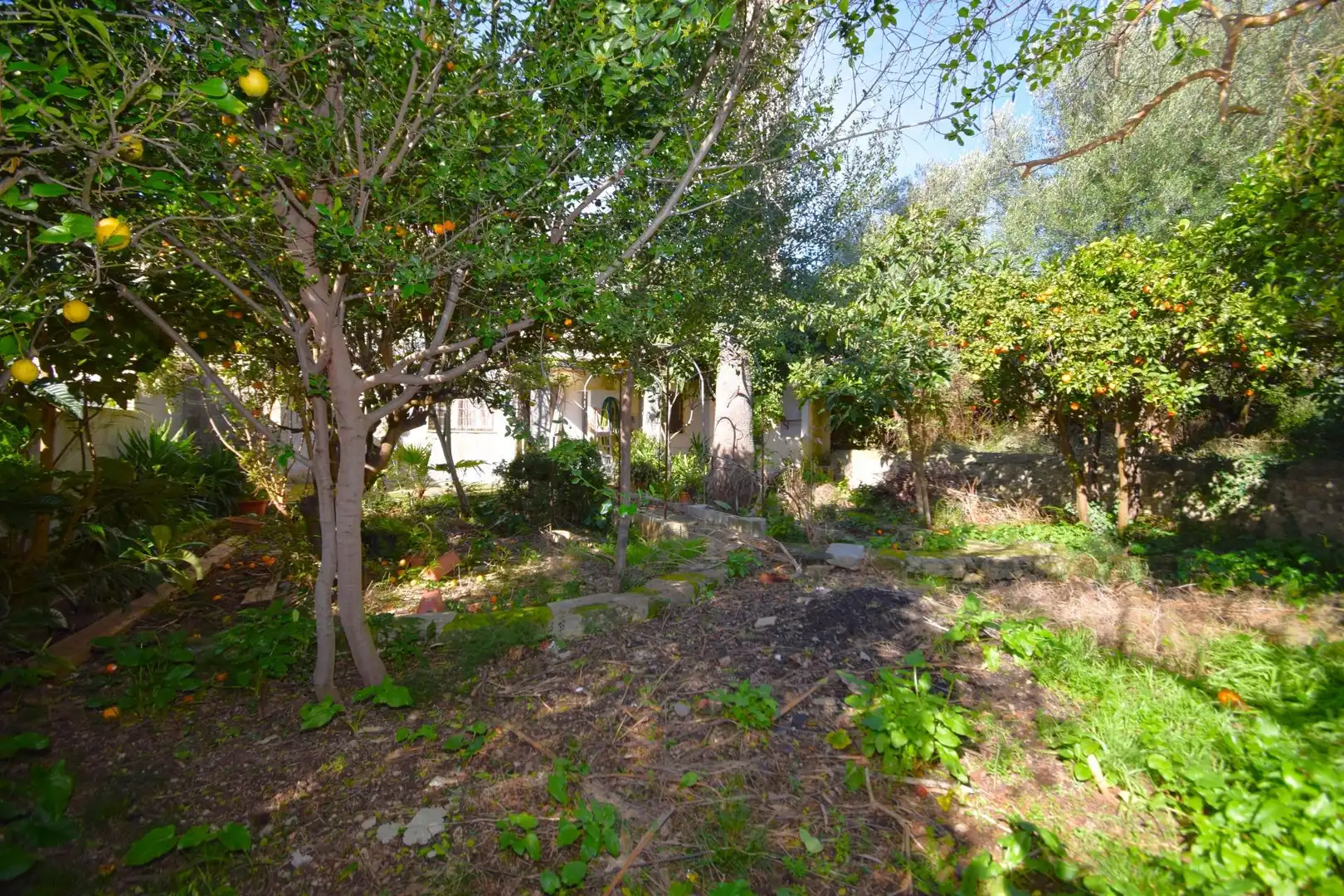 Casa con jardín en venta en Campanet, imagen 25