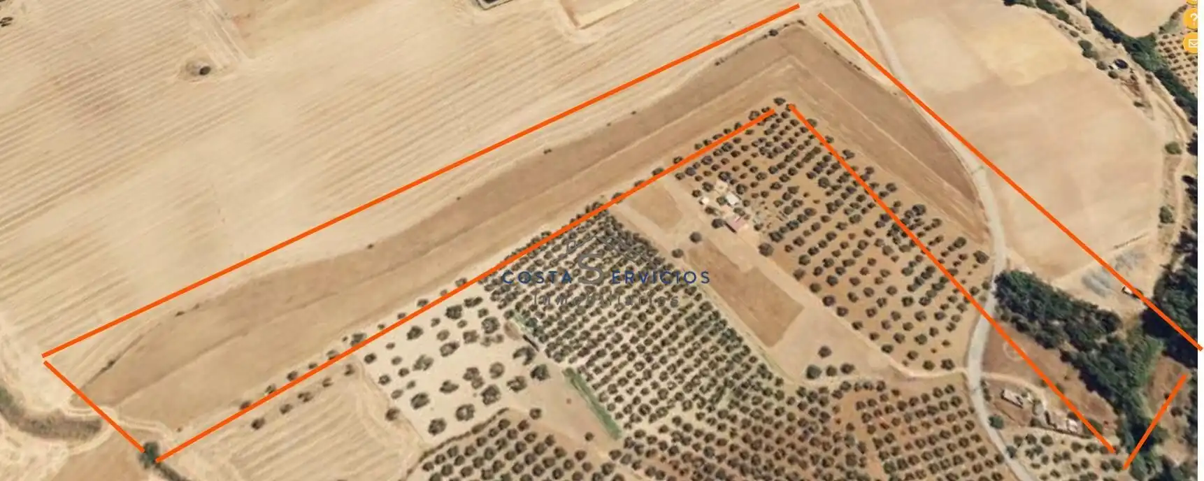 Terreno rústico en venta en Gibraleón, imagen 5