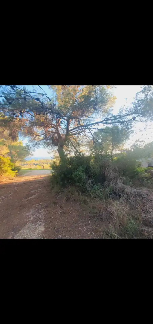 Casa en venta en Móra d'Ebre, imagen 22