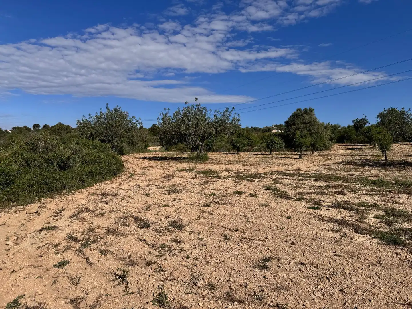 Land for sale in Polígono 26 Parcela 21 CASA BLANCA-BARBETA. TORRE, 26, Poligono Mas del Jutge