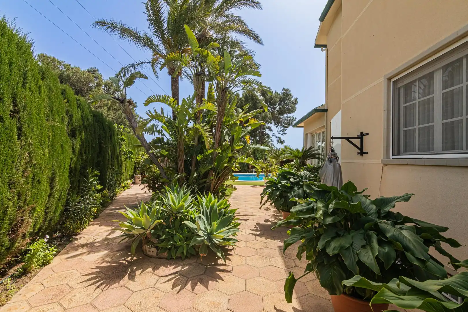 Jardín de Casa o chalet en venta en Elche / Elx con Jardín privado, Terraza y Piscina