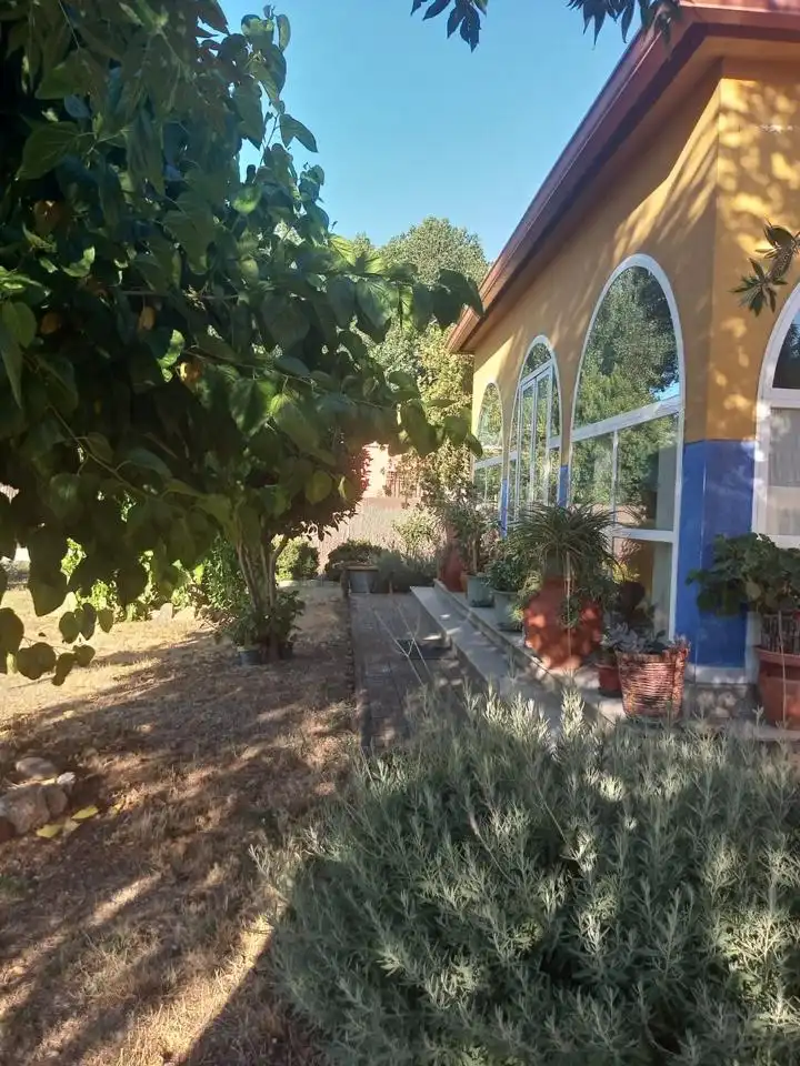 Garden of Houses for sale in Coria
