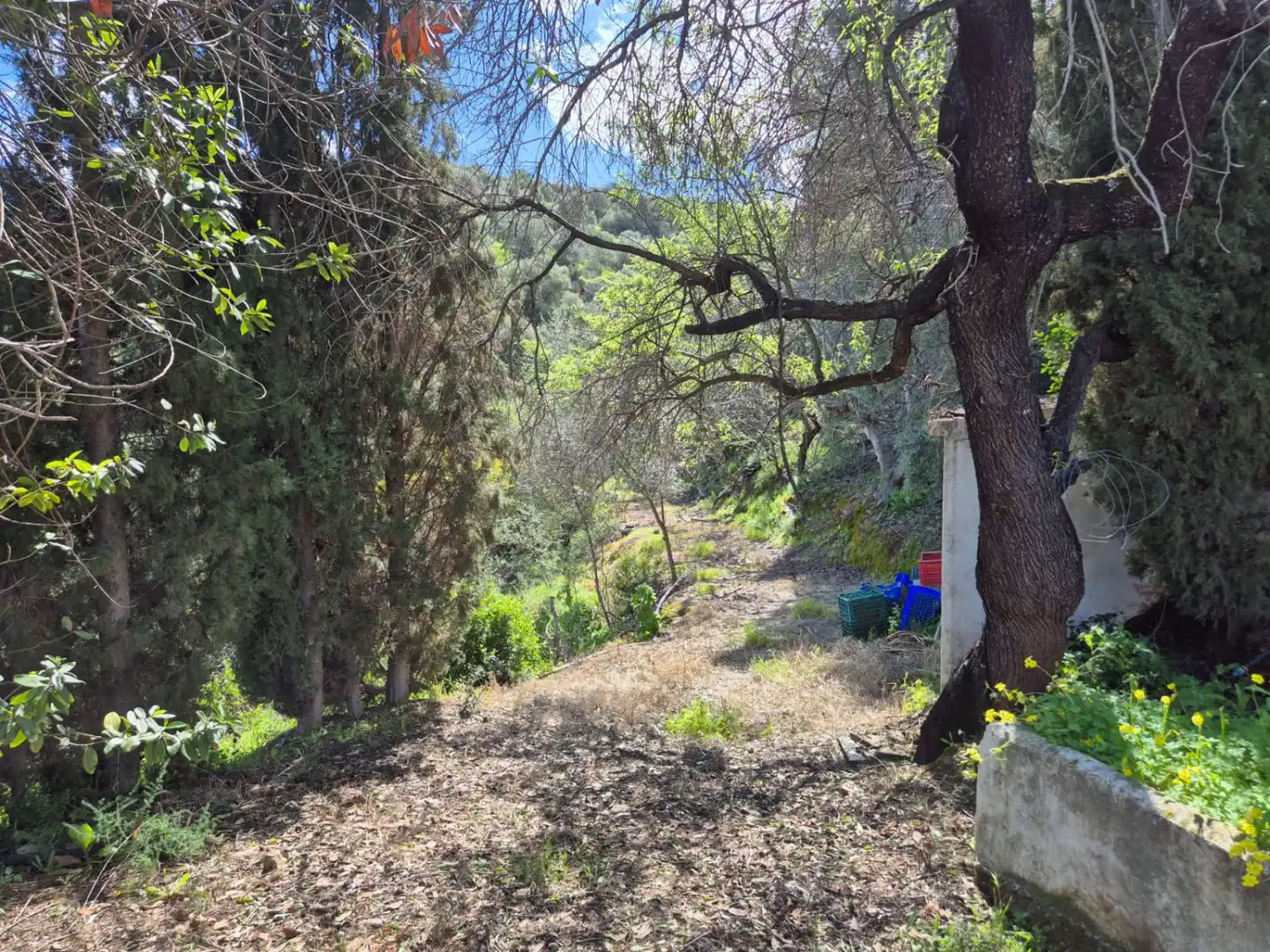 Jardí de Finca rústica en venda en Guaro amb Calefacció, Terrassa i Traster