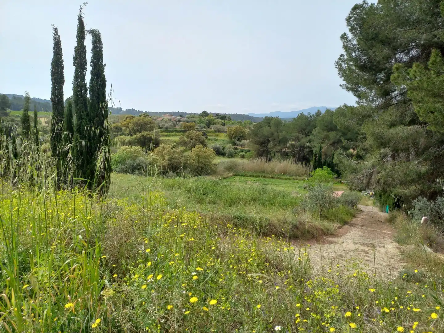 Rural land for sale in Ginestar, imagen 32