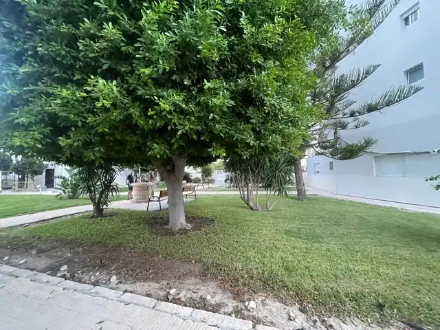 Piso con piscina en alquiler en Camino Muchavista, imagen 22