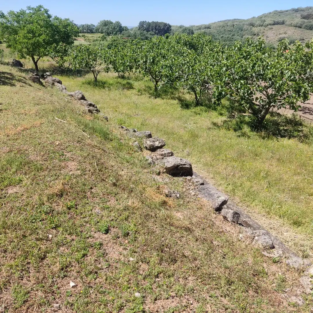 Terreni e lotti in vendita a Jarandilla de la Vera, imagen 9
