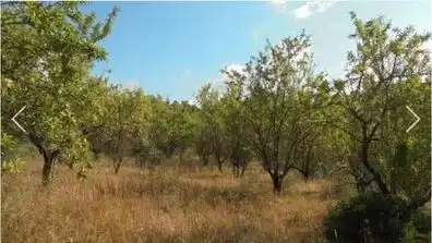 Rural land for sale in Els Guiamets, imagen 5
