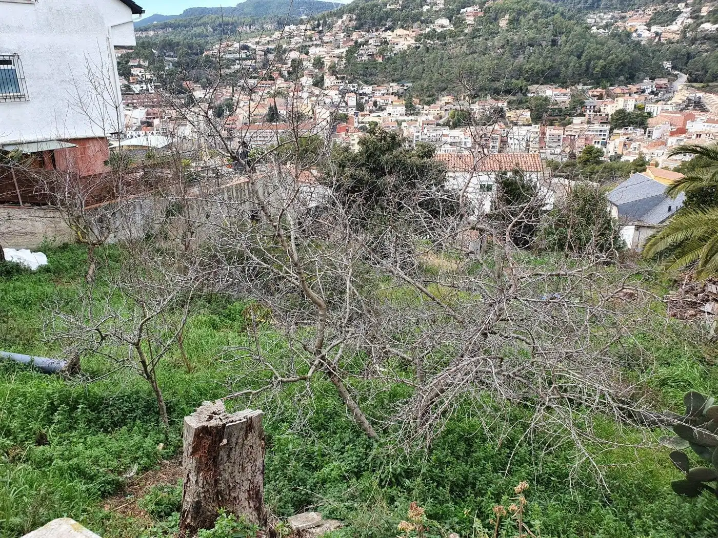 Residential land for sale in Carrer Enric Granados 2, imagen 4