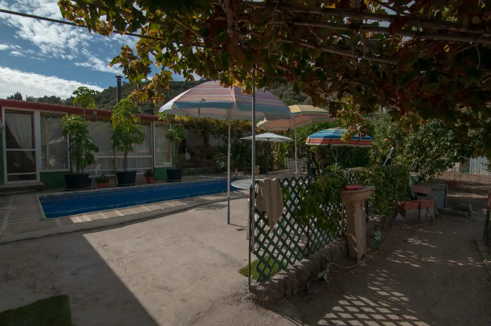 Piscina de Casa o xalet en venda en Marbella amb Piscina i Moblat