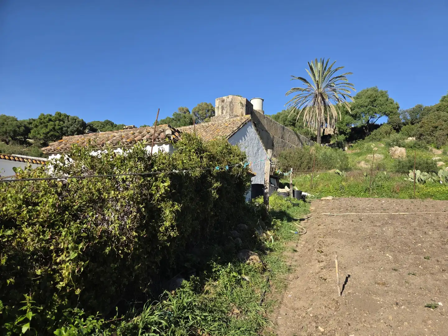 Country homes for sale in Tarifa ciudad