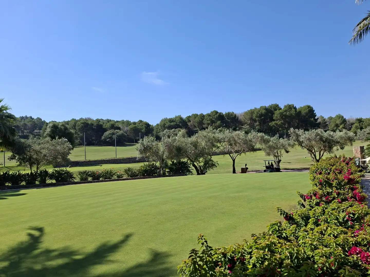 Garten von Wohnungen zum Verkauf in Pedreguer mit Klimaanlage, Terrasse und Gemeinschaftspool