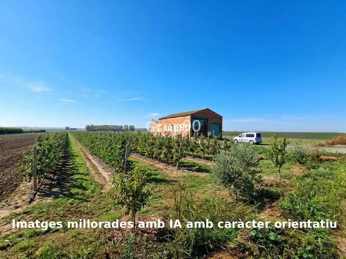 Terreno en venta en Alcoletge