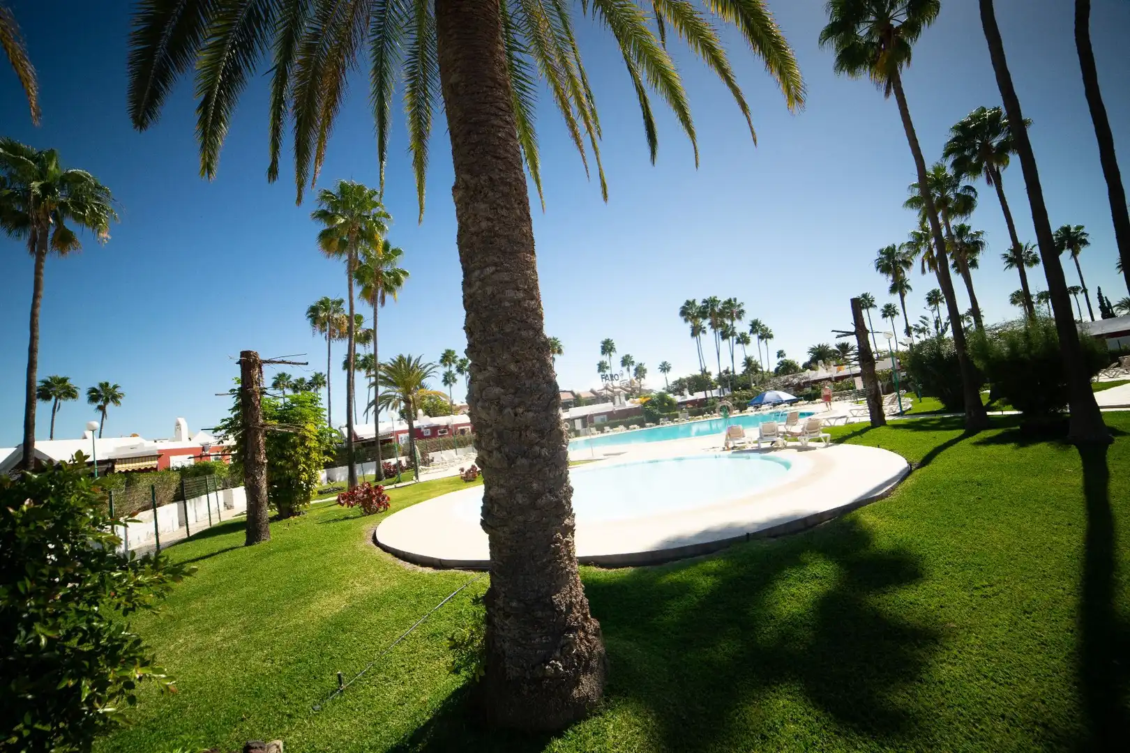 Piscina de Casa o xalet en venda en San Bartolomé de Tirajana amb Aire condicionat, Jardí privat i Terrassa