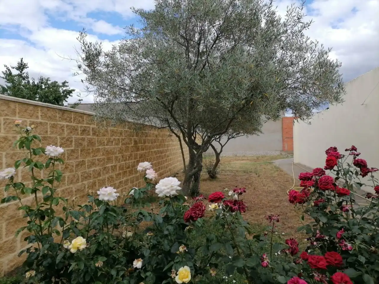 Terreno residenziale in vendita a Poligono 17, imagen 21