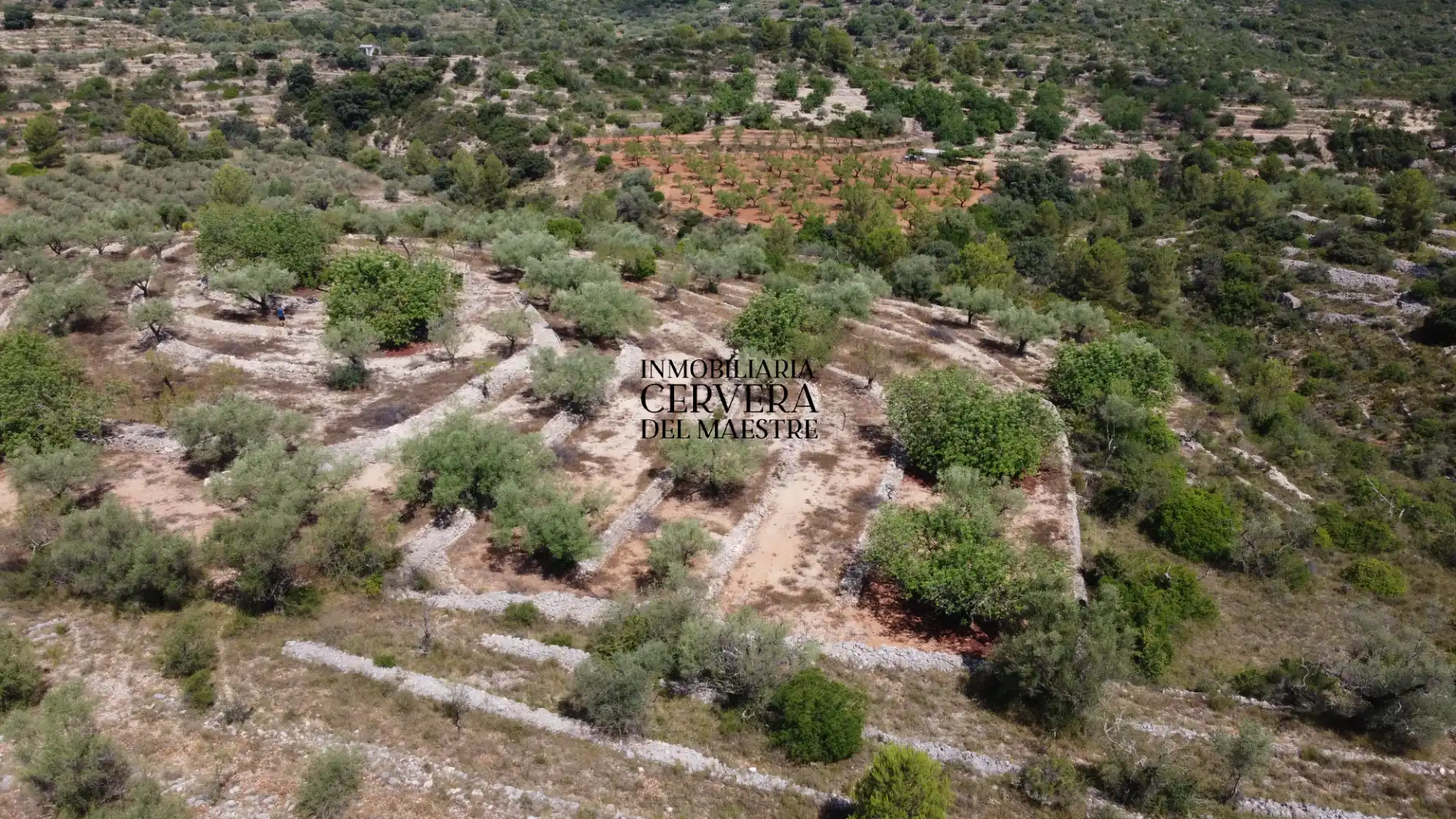 Terreno rustico in vendita a Cervera del Maestre, imagen 14