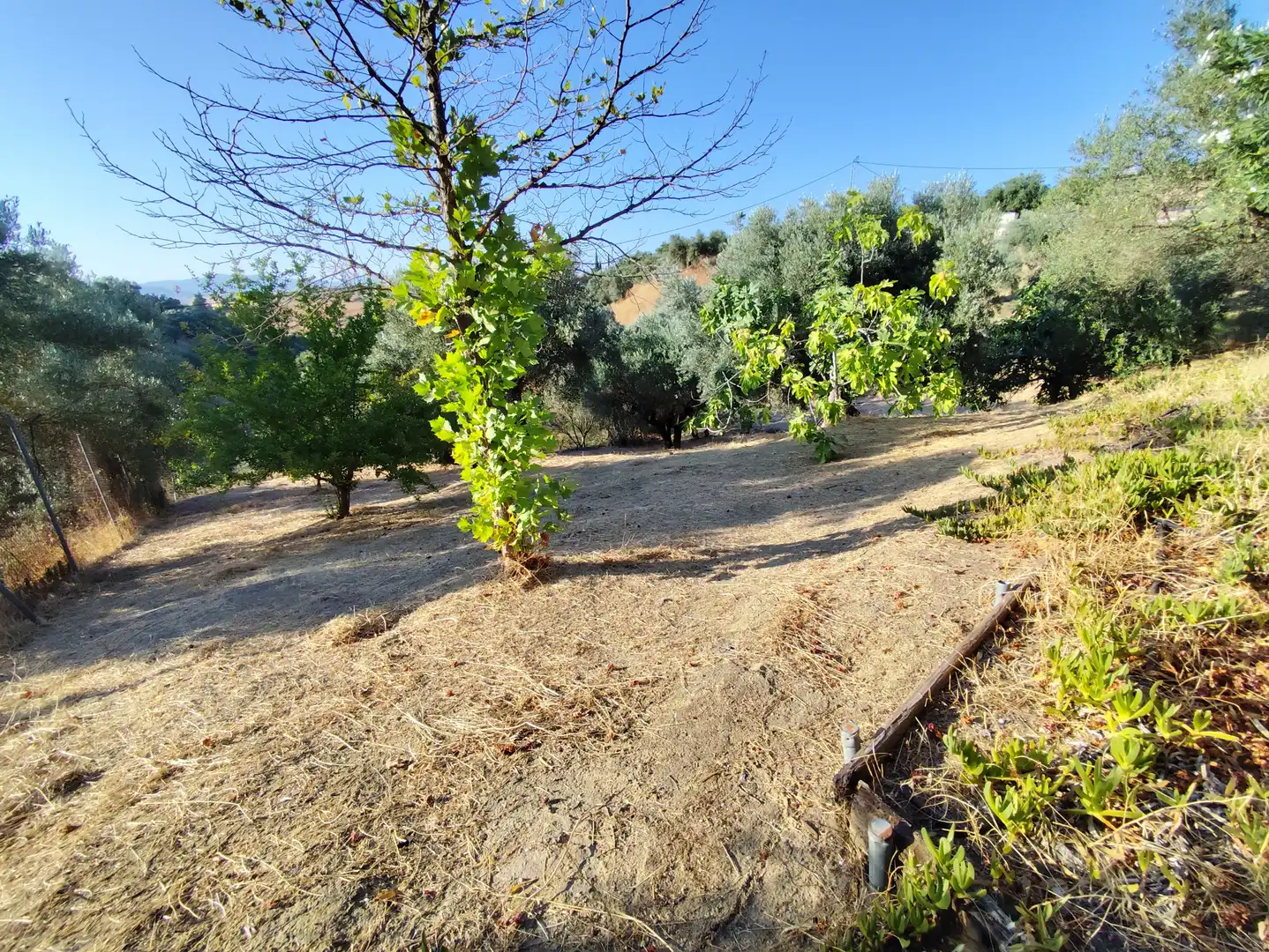 Finca rústica en venda en Coín amb Aire condicionat, Jardí privat i Terrassa