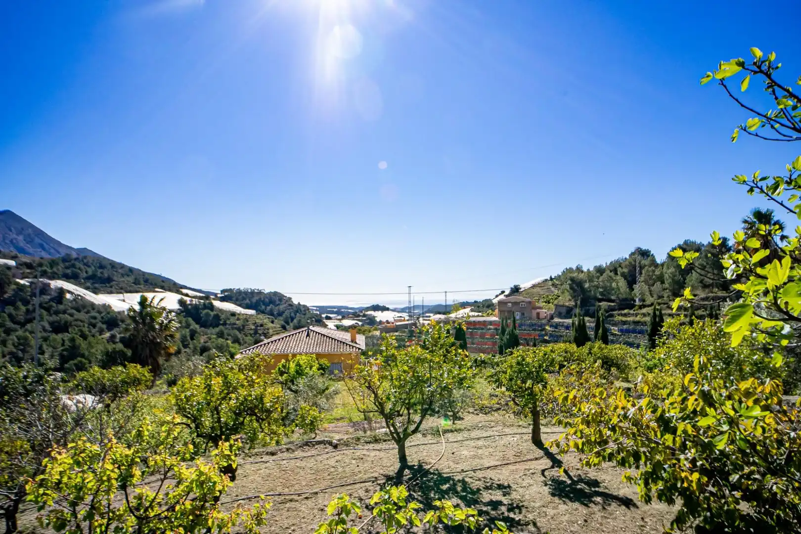 Casa o chalet en venta en Callosa d'en Sarrià con Jardín privado y Trastero