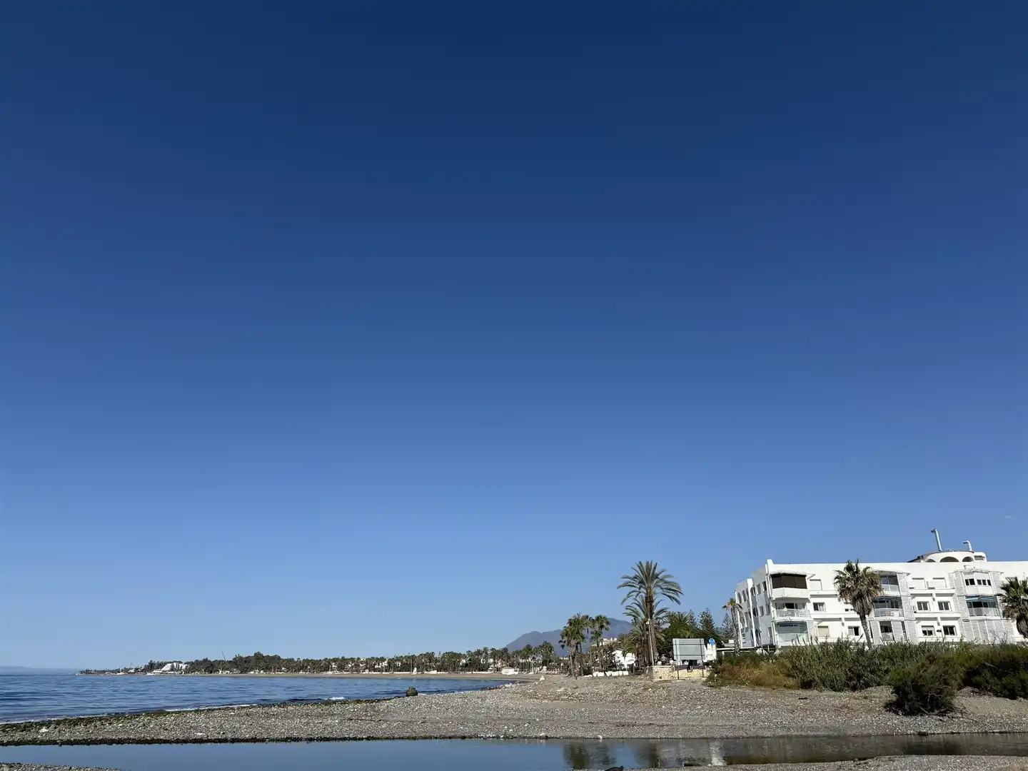Vista exterior de Apartament en venda en Marbella