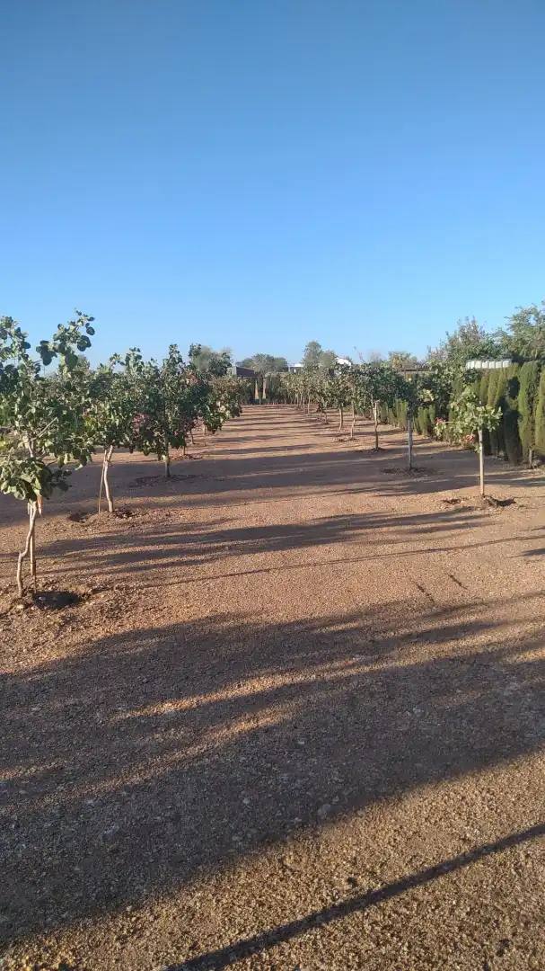 Vista exterior de Casa o xalet en venda en Ciudad Real amb Calefacció, Jardí privat i Traster