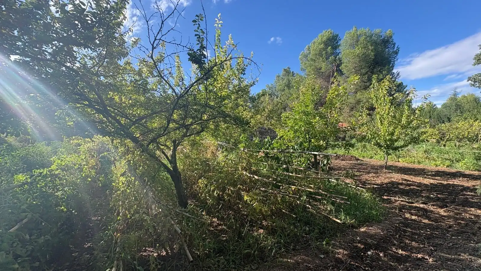 Villa avec piscine à vendre à Almansa, imagen 9