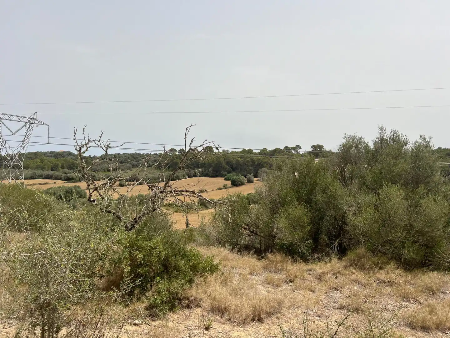 Terreny rústic en venda a Muro, imagen 11