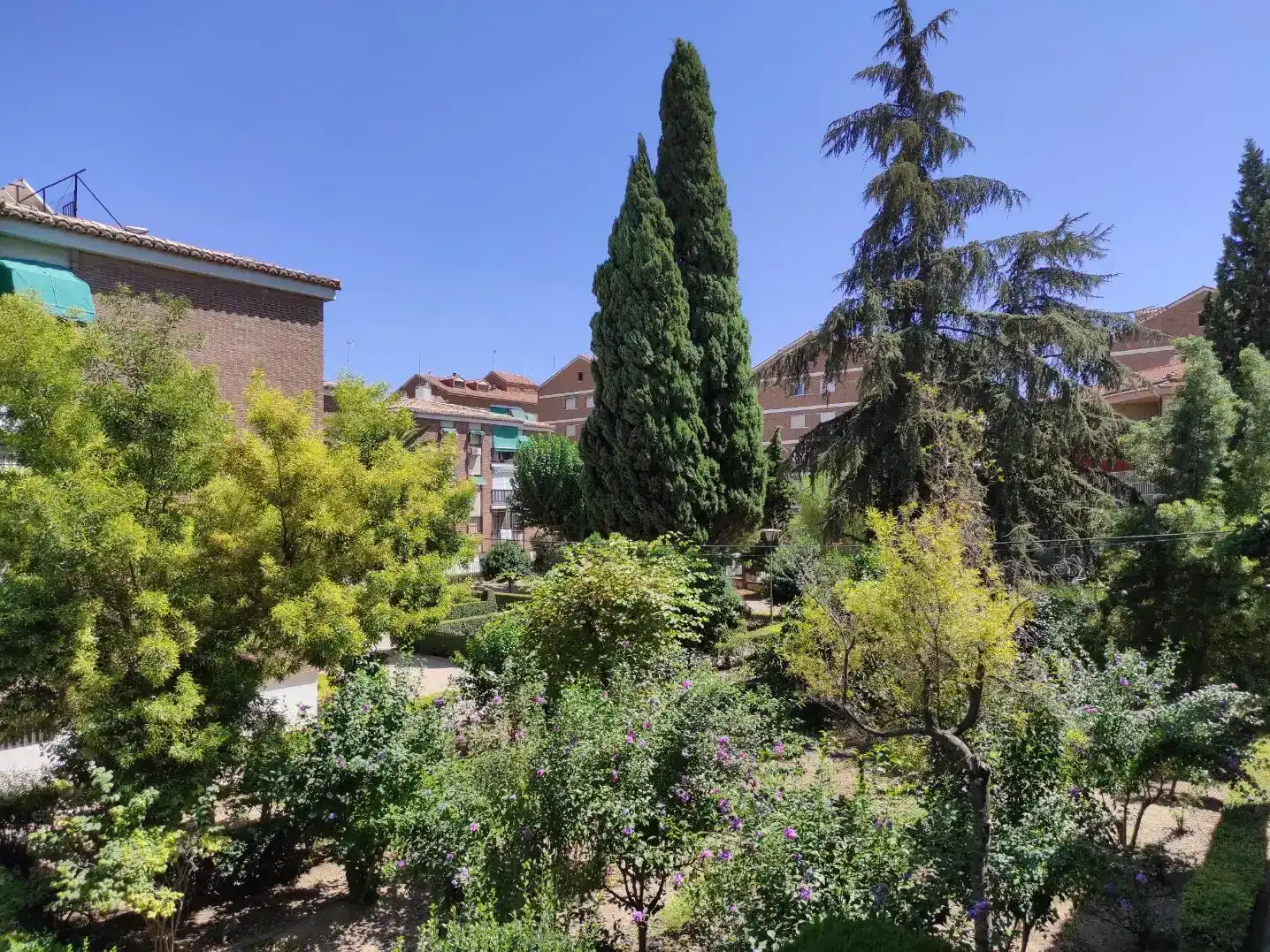 Garten von Wohnung zur Miete in Beiro