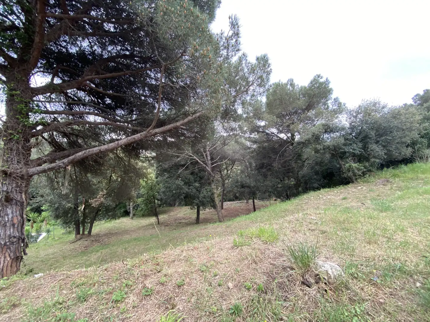 Residencial en venta en Sant Pere de Vilamajor