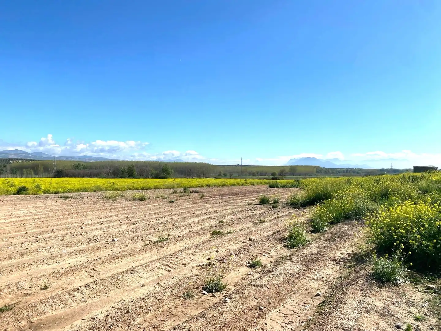 Rustikales Grundstück zum Verkauf in Pinos Puente, imagen 14