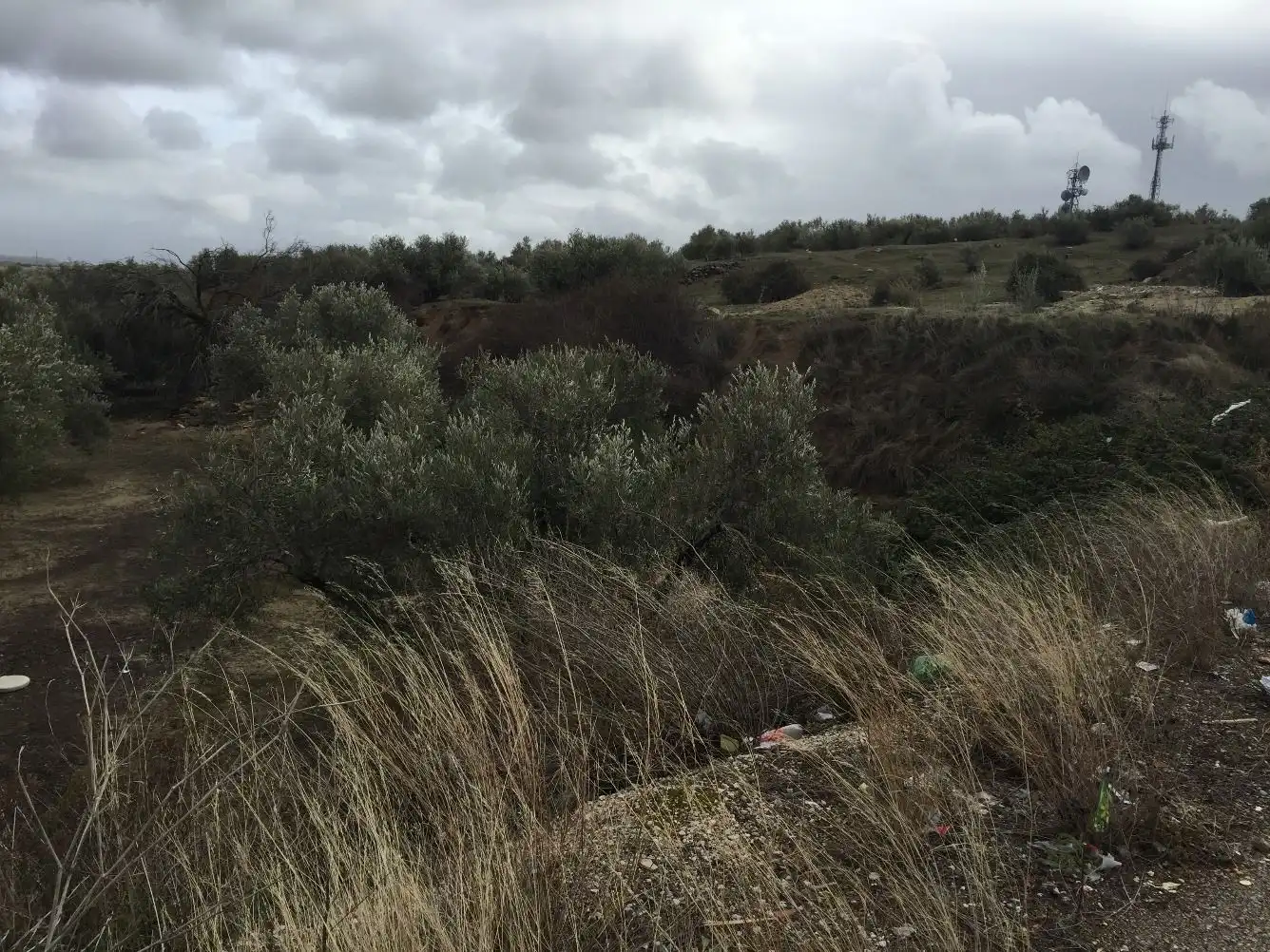 Terrenos y solares en venta en Úbeda, imagen 5